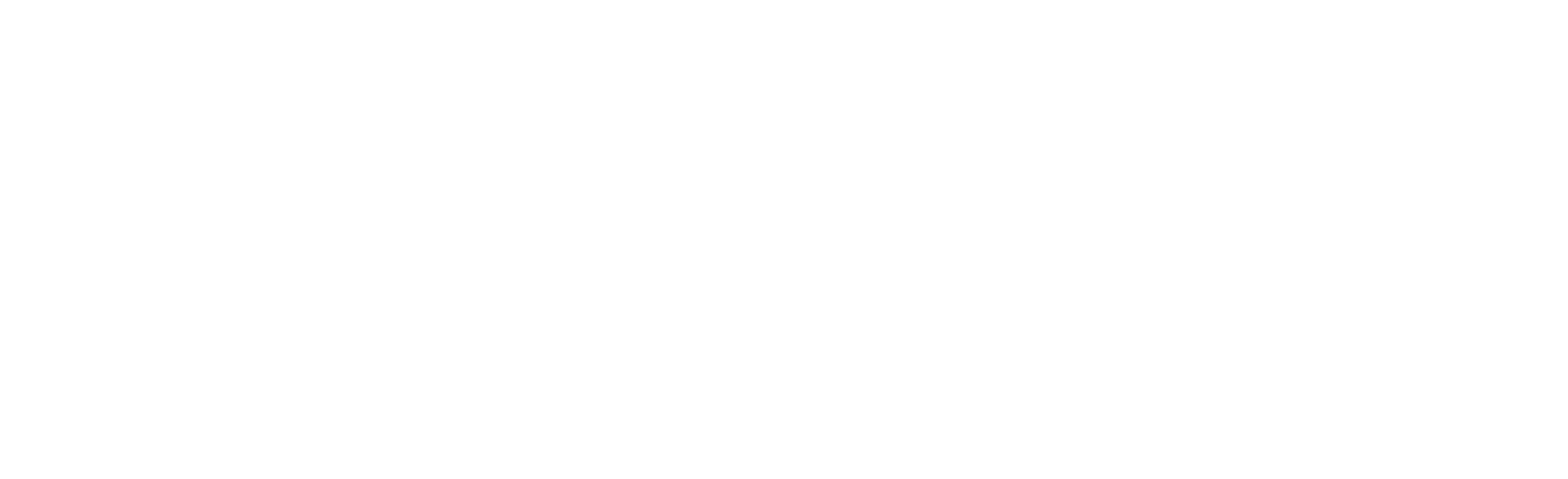 IntoDetailing Logo
